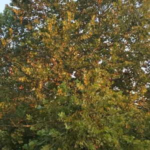 Meet your Posher, Benjamin